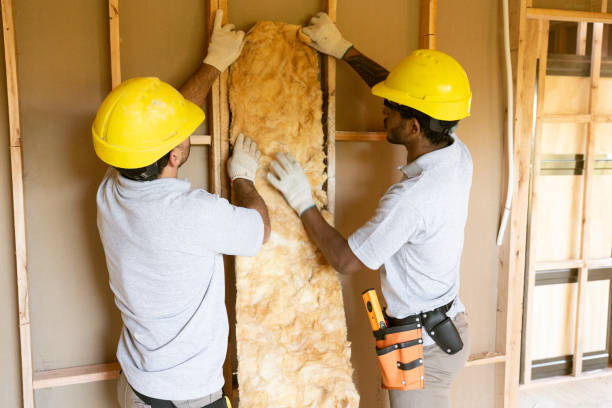 Best Insulation Removal  in Mariposa, CA